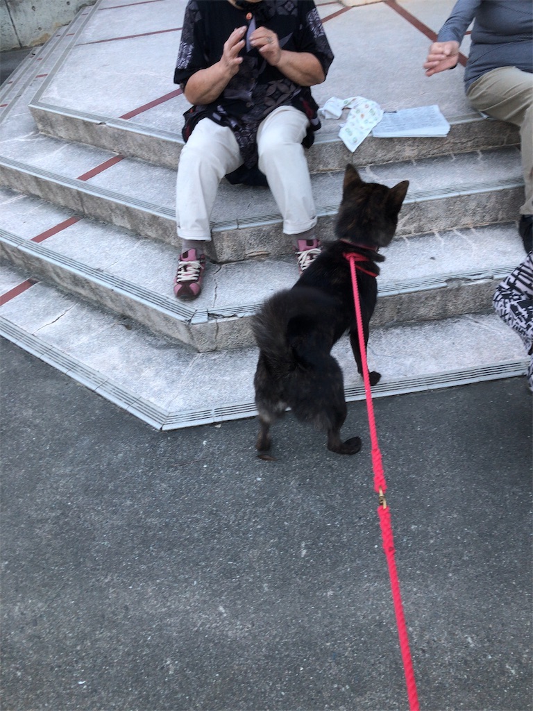 f:id:kai-koume:20181003075247j:image f:id:kai-koume:20181003075247j:image