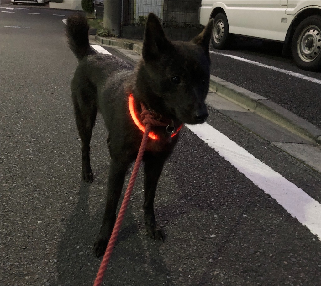 f:id:kai-koume:20181005073114j:image f:id:kai-koume:20181005073114j:image