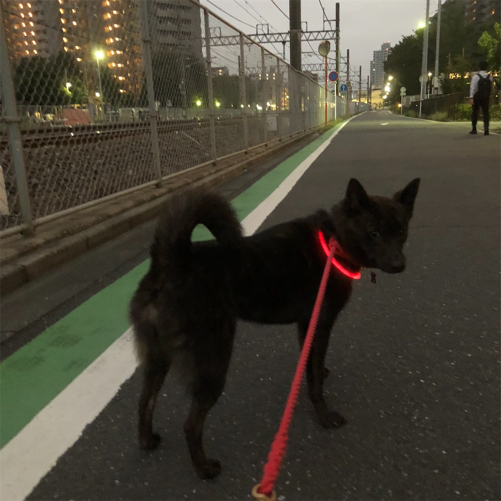 f:id:kai-koume:20181005073340j:image f:id:kai-koume:20181005073340j:image