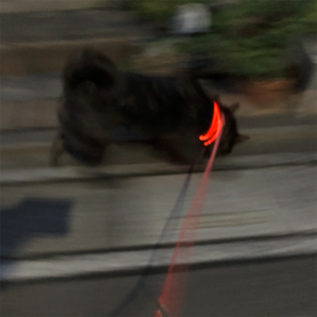 f:id:kai-koume:20181016074655j:image f:id:kai-koume:20181016074655j:image