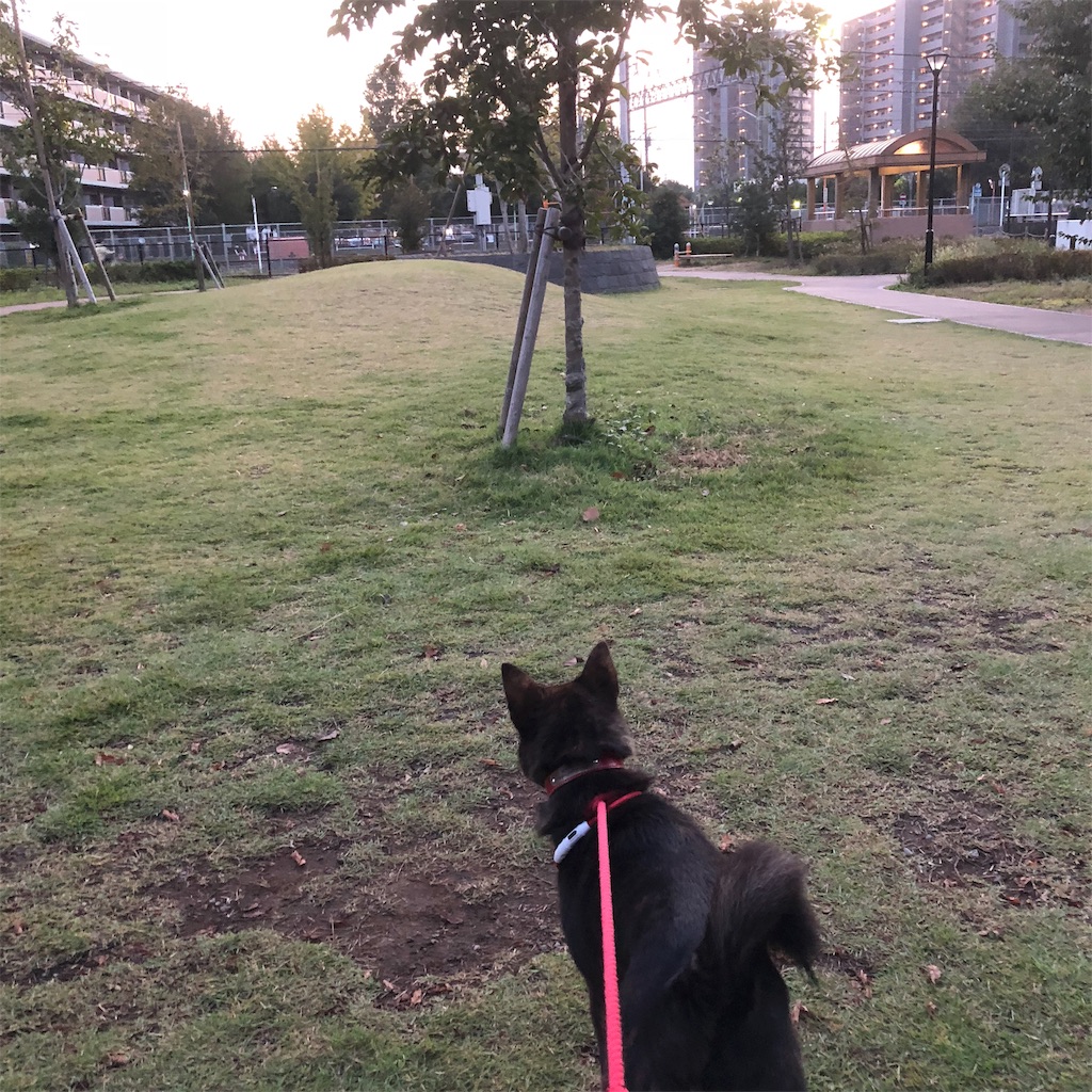 f:id:kai-koume:20181018074549j:image f:id:kai-koume:20181018074549j:image