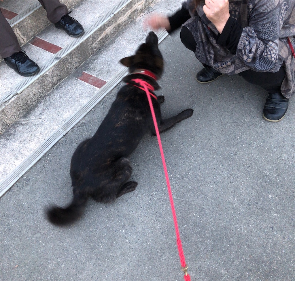 f:id:kai-koume:20181018075706j:image f:id:kai-koume:20181018075706j:image