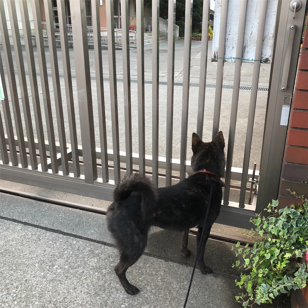 f:id:kai-koume:20181020085736j:image f:id:kai-koume:20181020085736j:image