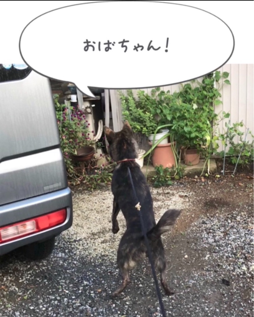 f:id:kai-koume:20181020090732j:image f:id:kai-koume:20181020090732j:image