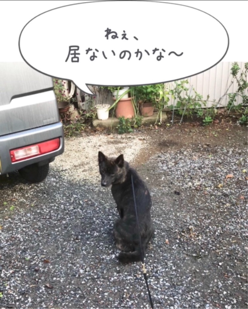 f:id:kai-koume:20181020090742j:image f:id:kai-koume:20181020090742j:image
