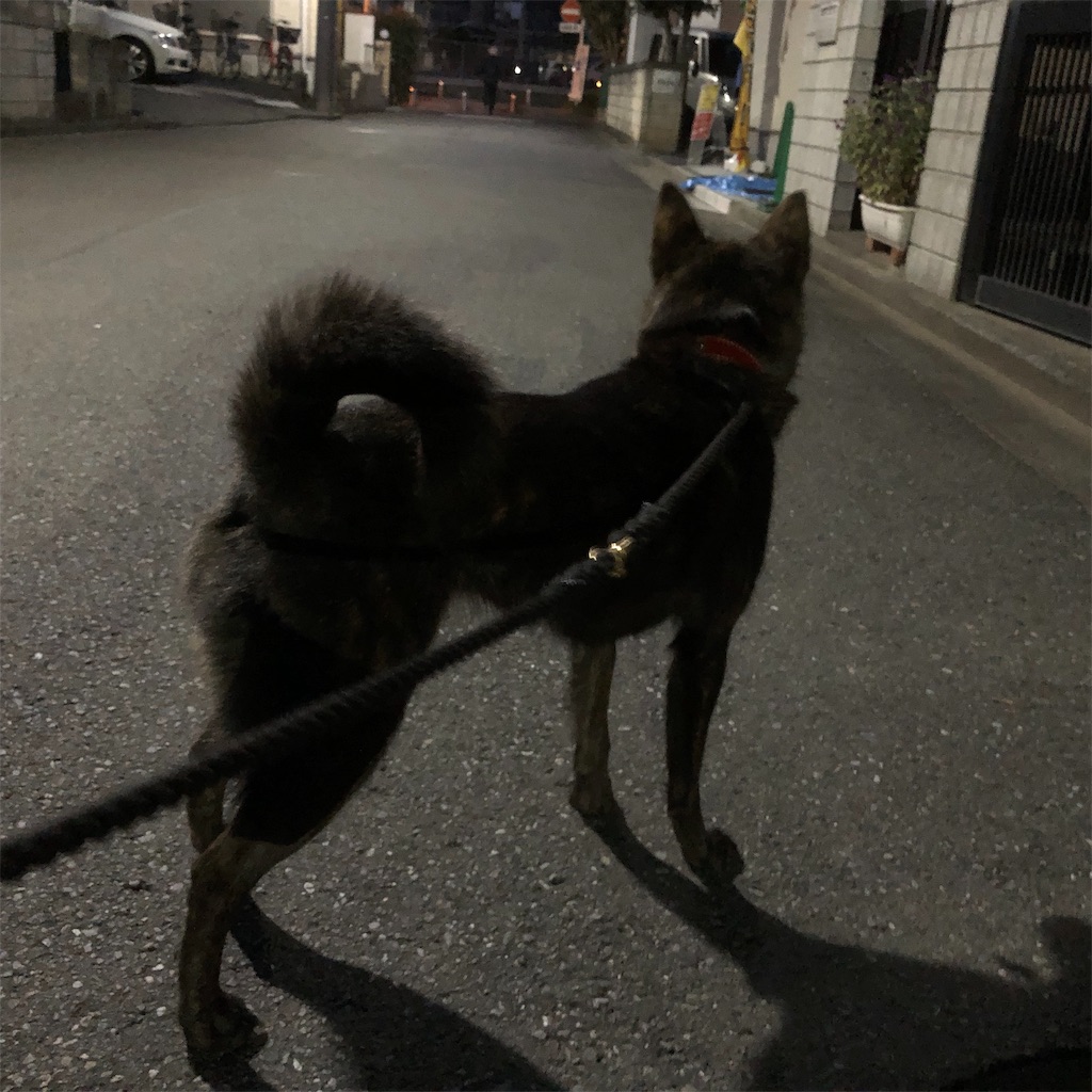 f:id:kai-koume:20181023073824j:image f:id:kai-koume:20181023073824j:image