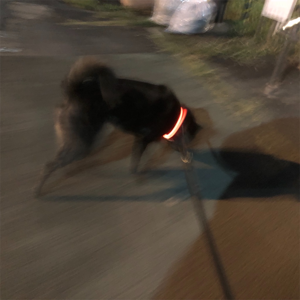 f:id:kai-koume:20181025073016j:image f:id:kai-koume:20181025073016j:image
