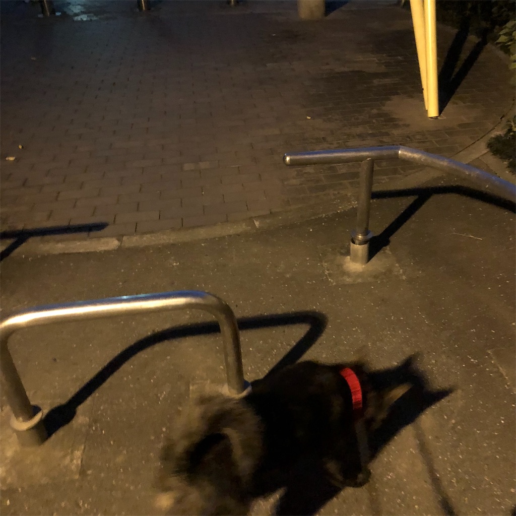 f:id:kai-koume:20181025073258j:image f:id:kai-koume:20181025073258j:image