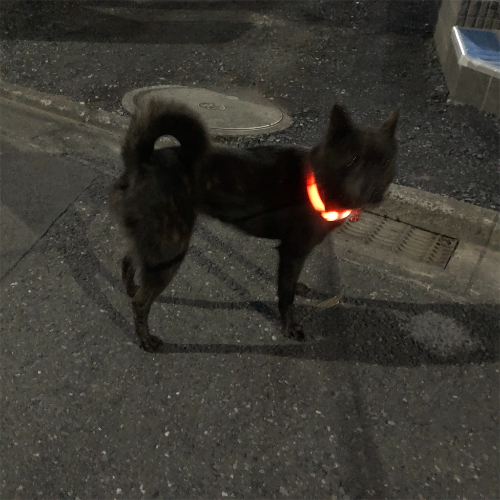 f:id:kai-koume:20181025073357j:image f:id:kai-koume:20181025073357j:image