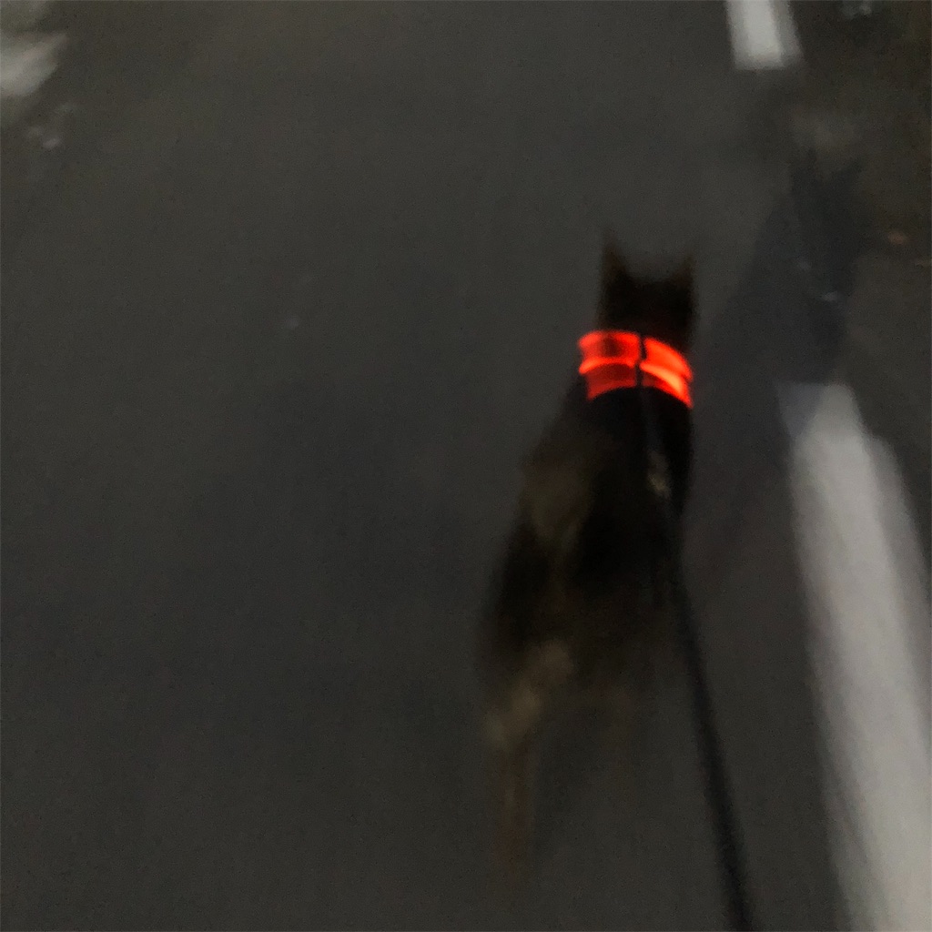 f:id:kai-koume:20181025073501j:image f:id:kai-koume:20181025073501j:image
