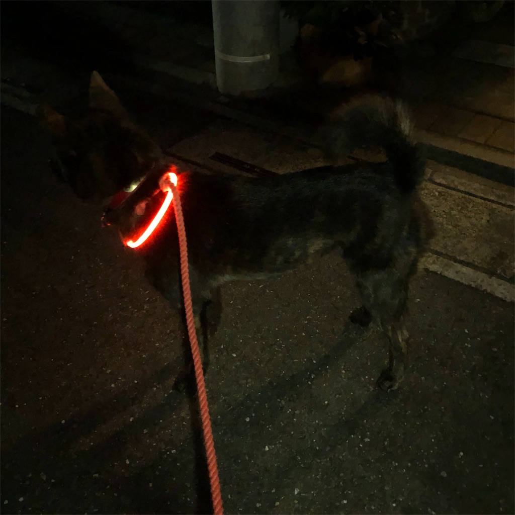 f:id:kai-koume:20181102064250j:image f:id:kai-koume:20181102064250j:image