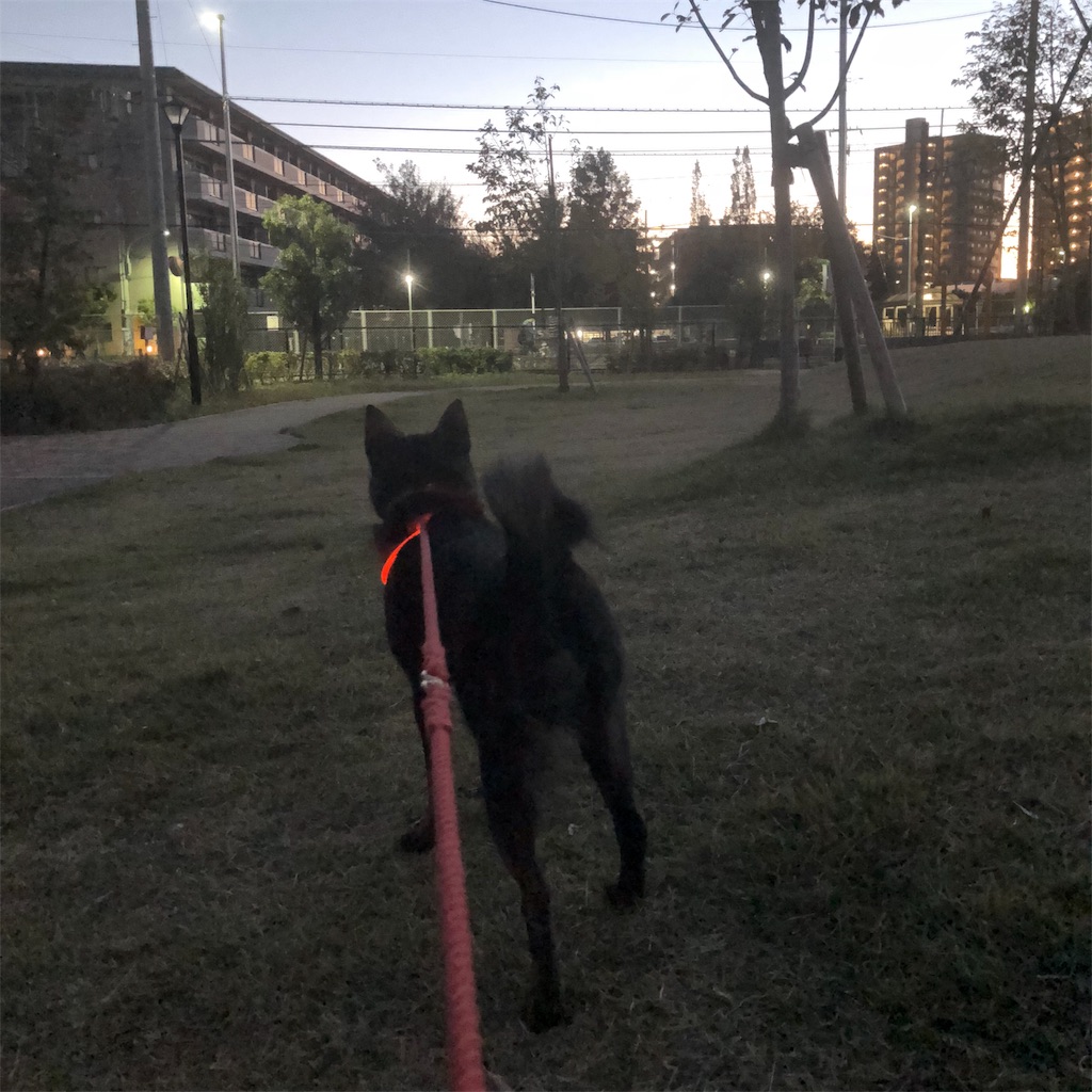f:id:kai-koume:20181102073118j:image f:id:kai-koume:20181102073118j:image