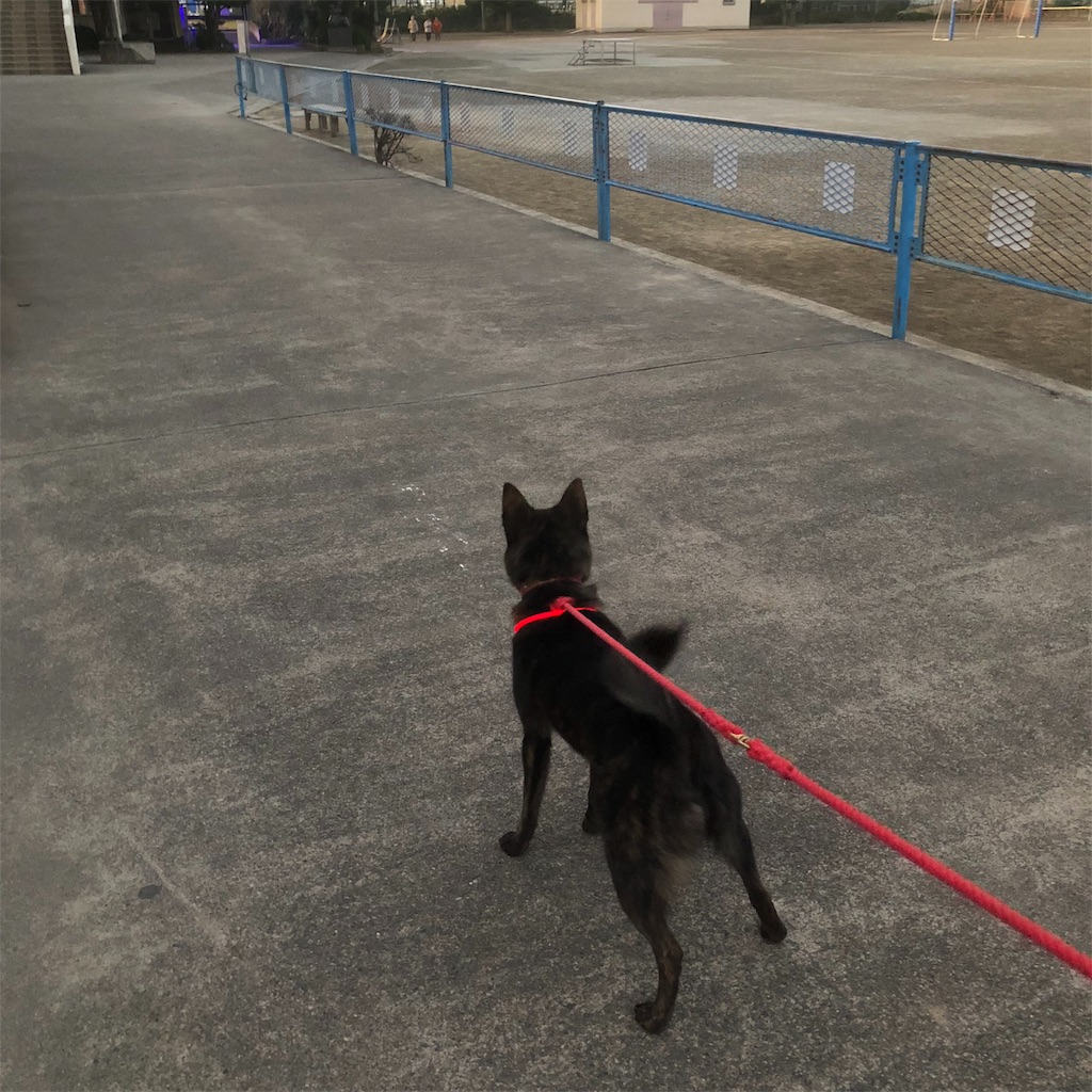 f:id:kai-koume:20181102073605j:image f:id:kai-koume:20181102073605j:image