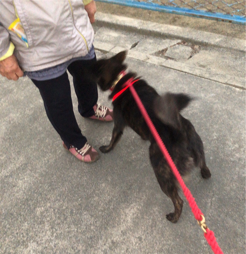 f:id:kai-koume:20181102073806j:image f:id:kai-koume:20181102073806j:image