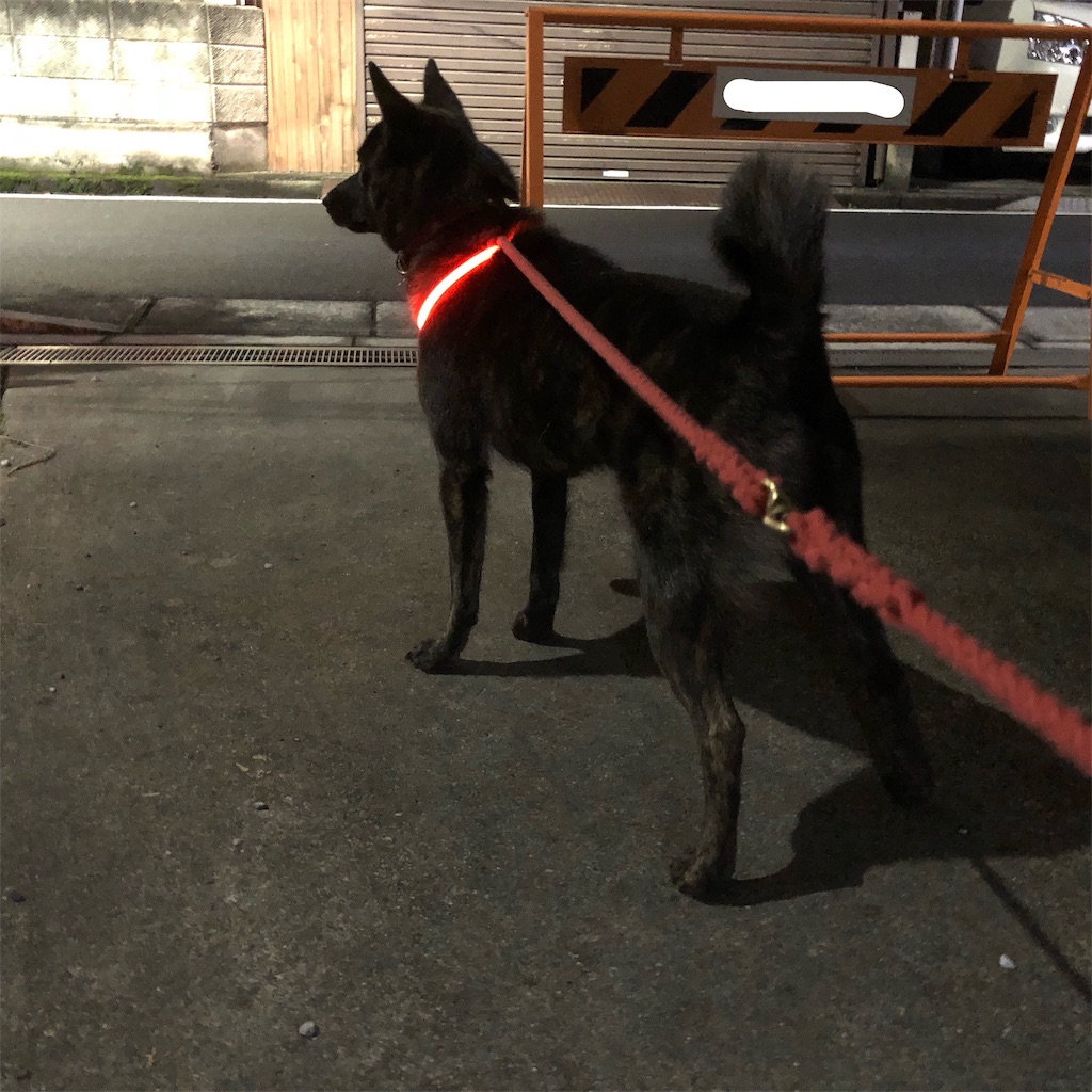 f:id:kai-koume:20181107131253j:image f:id:kai-koume:20181107131253j:image