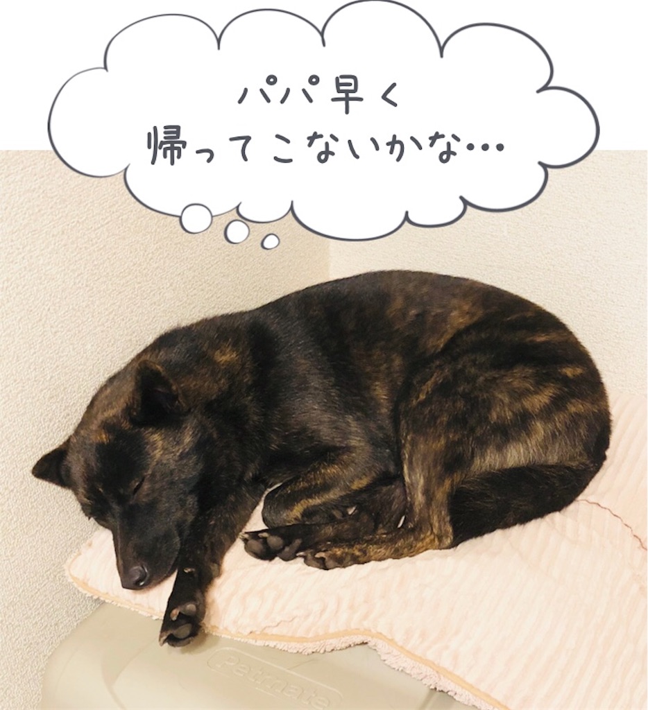 f:id:kai-koume:20181109055650j:image f:id:kai-koume:20181109055650j:image