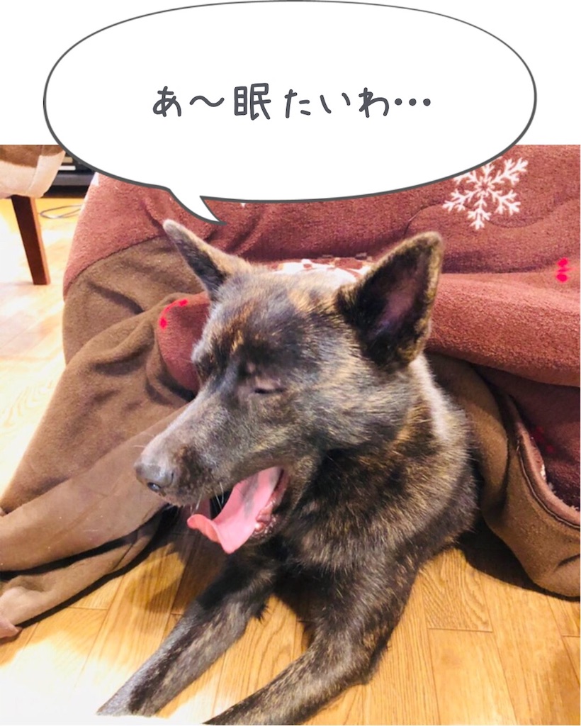f:id:kai-koume:20181110081005j:image f:id:kai-koume:20181110081005j:image
