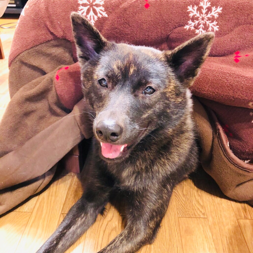 f:id:kai-koume:20181110081428j:image f:id:kai-koume:20181110081428j:image