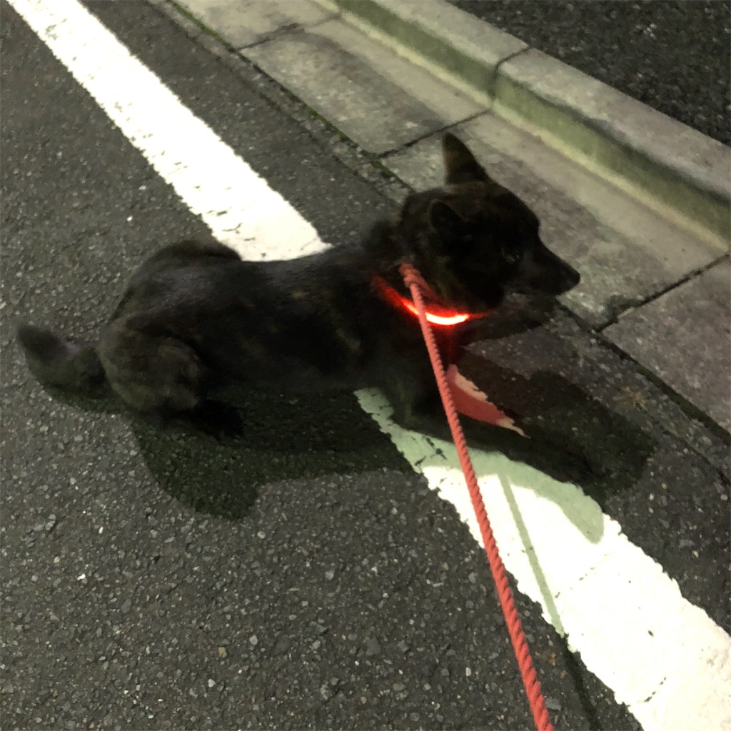 f:id:kai-koume:20181112060807j:image f:id:kai-koume:20181112060807j:image