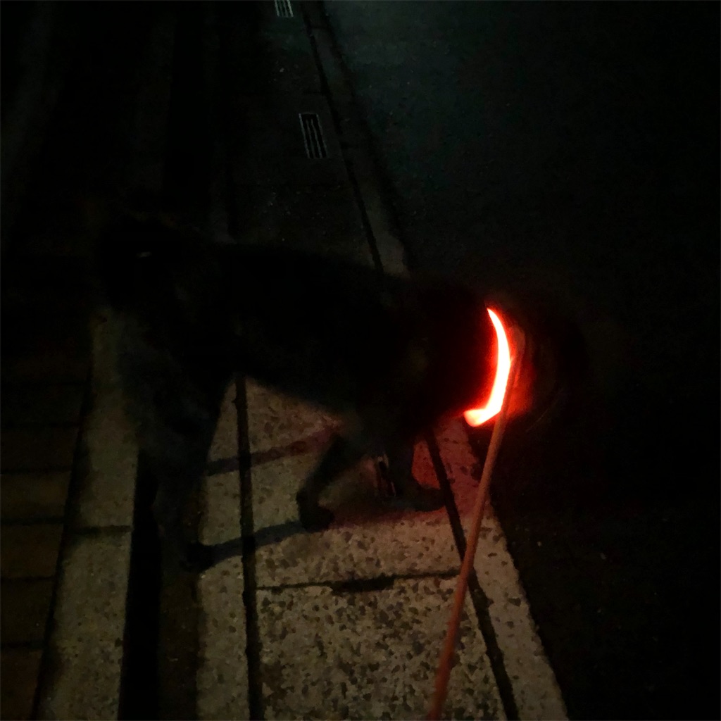 f:id:kai-koume:20181114073246j:image f:id:kai-koume:20181114073246j:image