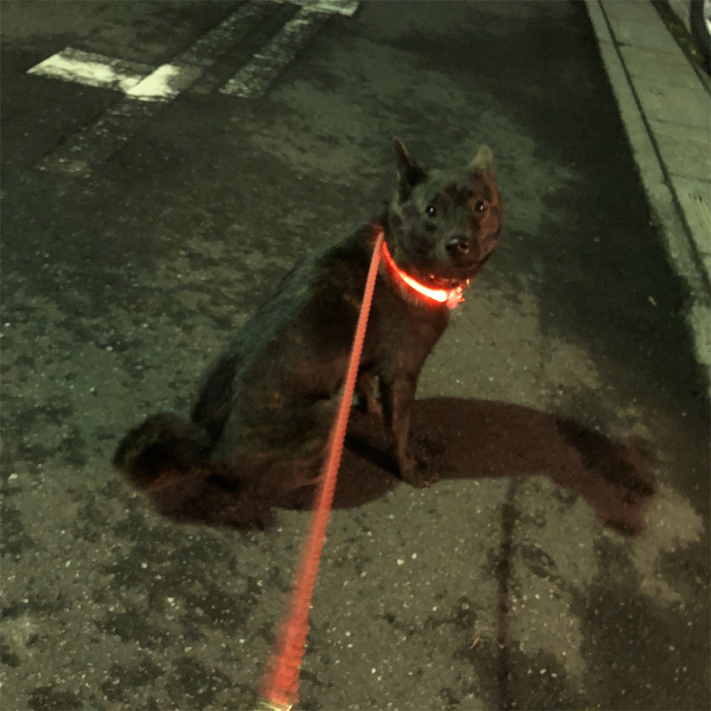 f:id:kai-koume:20181114073910j:image f:id:kai-koume:20181114073910j:image