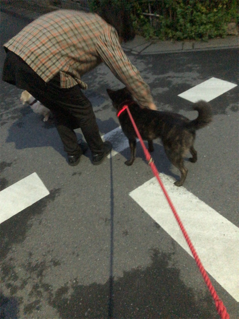 f:id:kai-koume:20181114074734j:image f:id:kai-koume:20181114074734j:image