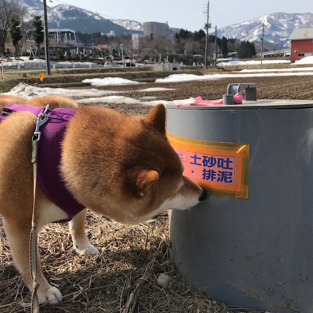 f:id:kai16shiba:20180401134013j:plain f:id:kai16shiba:20180401134013j:plain