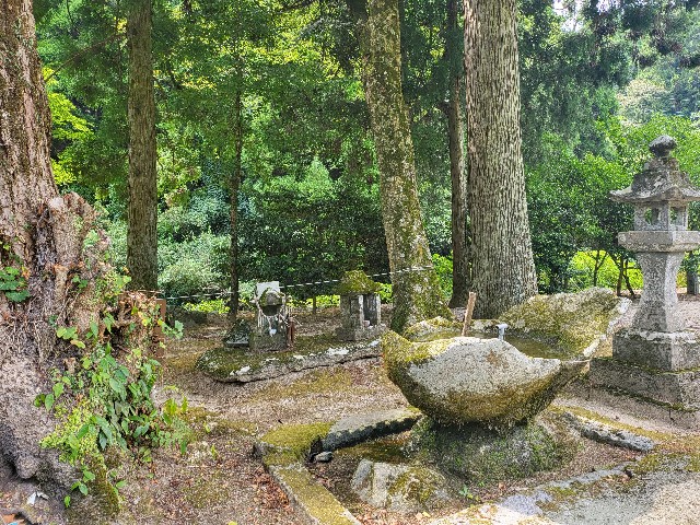 f:id:kai5855:20220810151841j:image