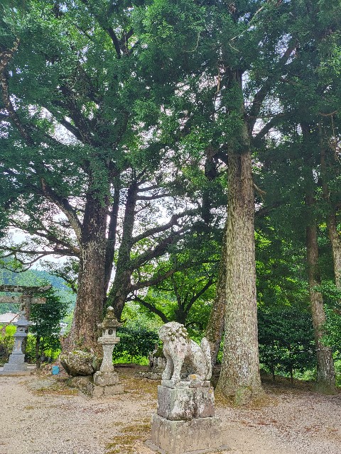 f:id:kai5855:20220810152418j:image