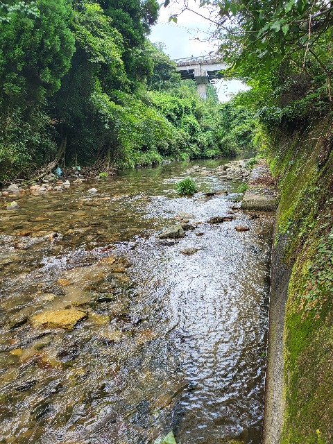 f:id:kai5855:20220810152523j:image