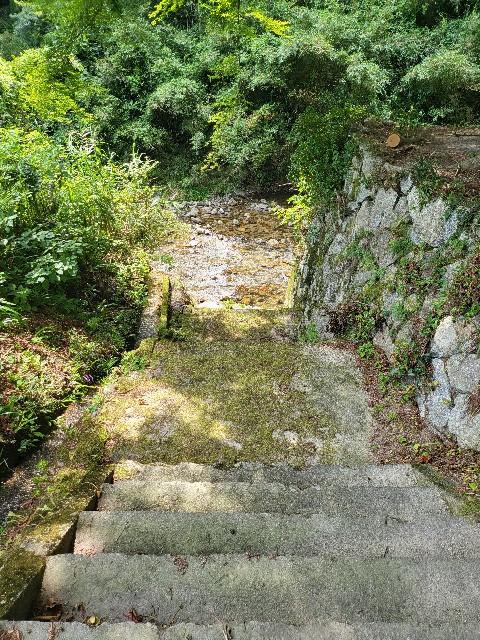 f:id:kai5855:20220810152538j:image