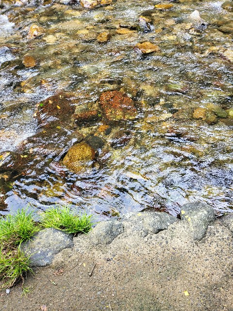 f:id:kai5855:20220810152733j:image