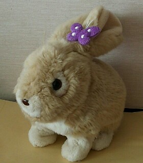 f:id:kai8787:20170212150628j:plain f:id:kai8787:20170212150628j:plain