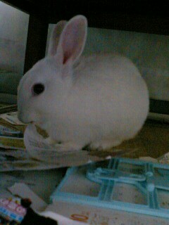 f:id:kai8787:20170318172903j:plain f:id:kai8787:20170318172903j:plain