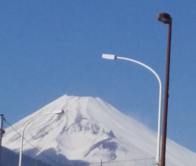 f:id:kai8787:20200223183212j:image f:id:kai8787:20200223183212j:image