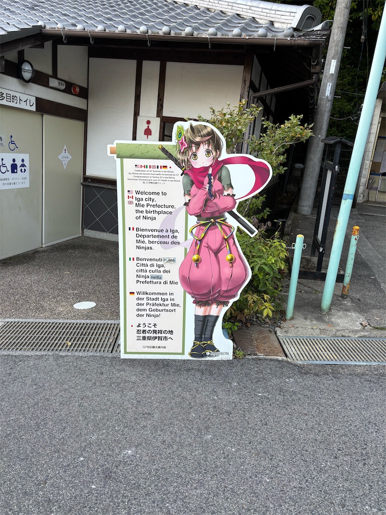 f:id:kai_syusyusyu:20250716134933j:image