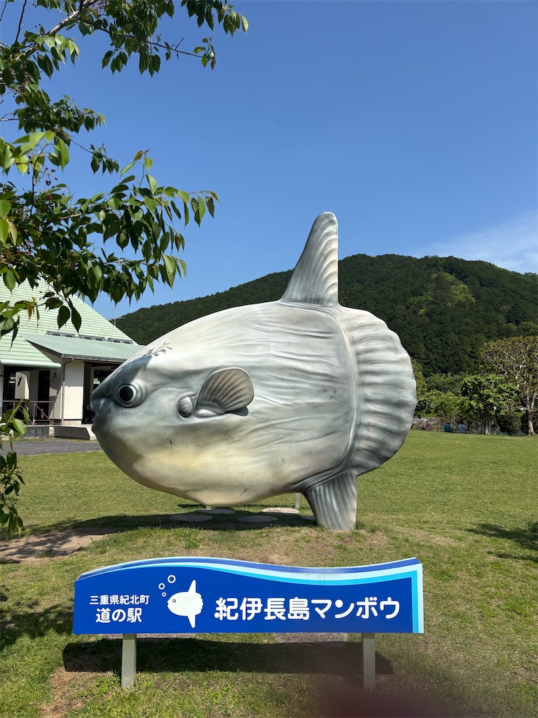 f:id:kai_syusyusyu:20250716135156j:image f:id:kai_syusyusyu:20250716135156j:image