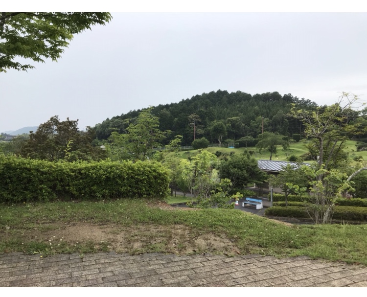 f:id:kaian7315:20181216144507j:plain f:id:kaian7315:20181216144507j:plain