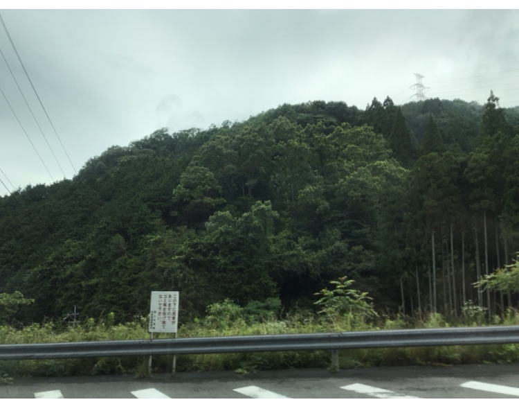 f:id:kaian7315:20181216145010j:plain f:id:kaian7315:20181216145010j:plain