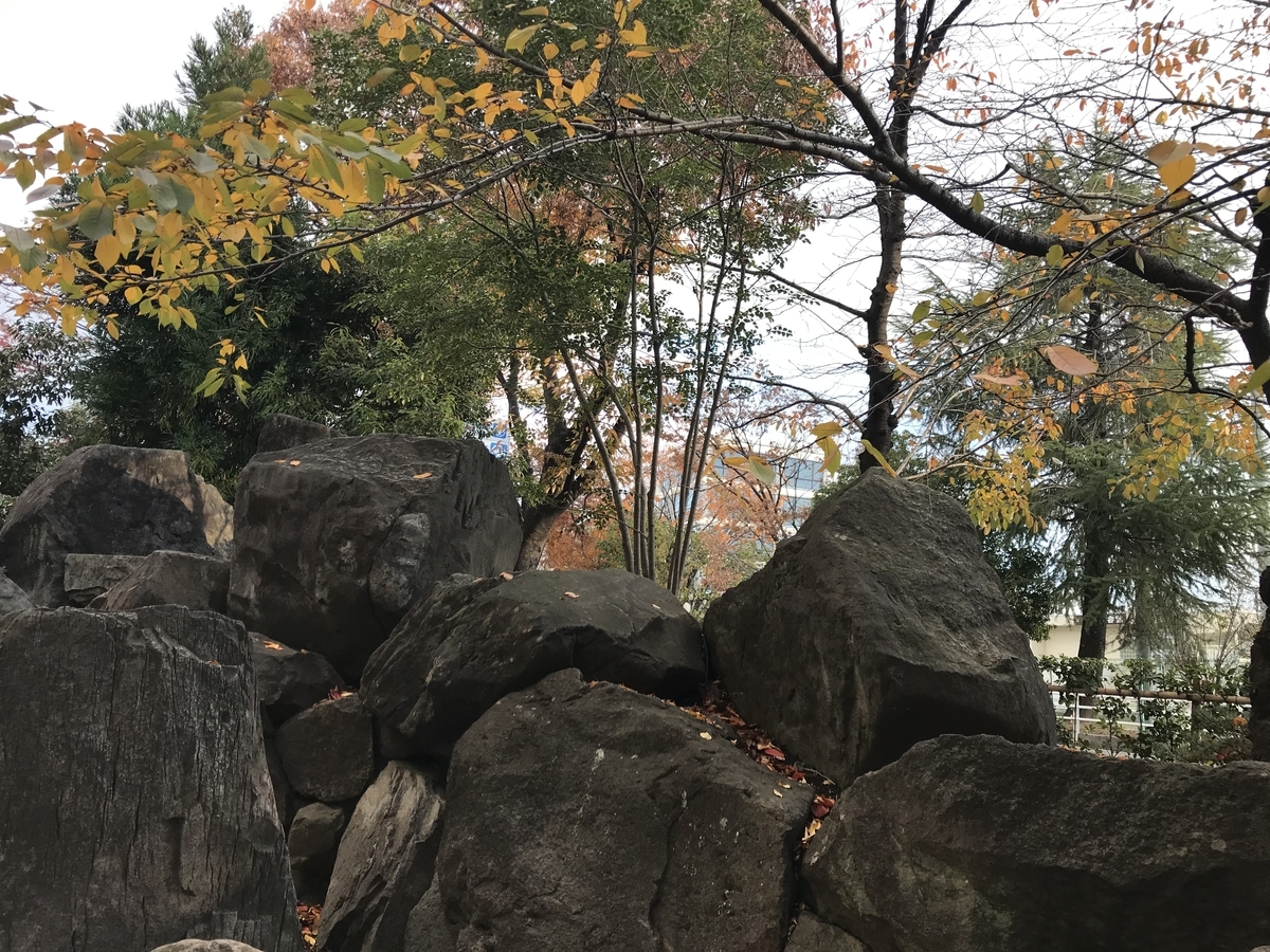 f:id:kaian7315:20191204082454j:plain f:id:kaian7315:20191204082454j:plain