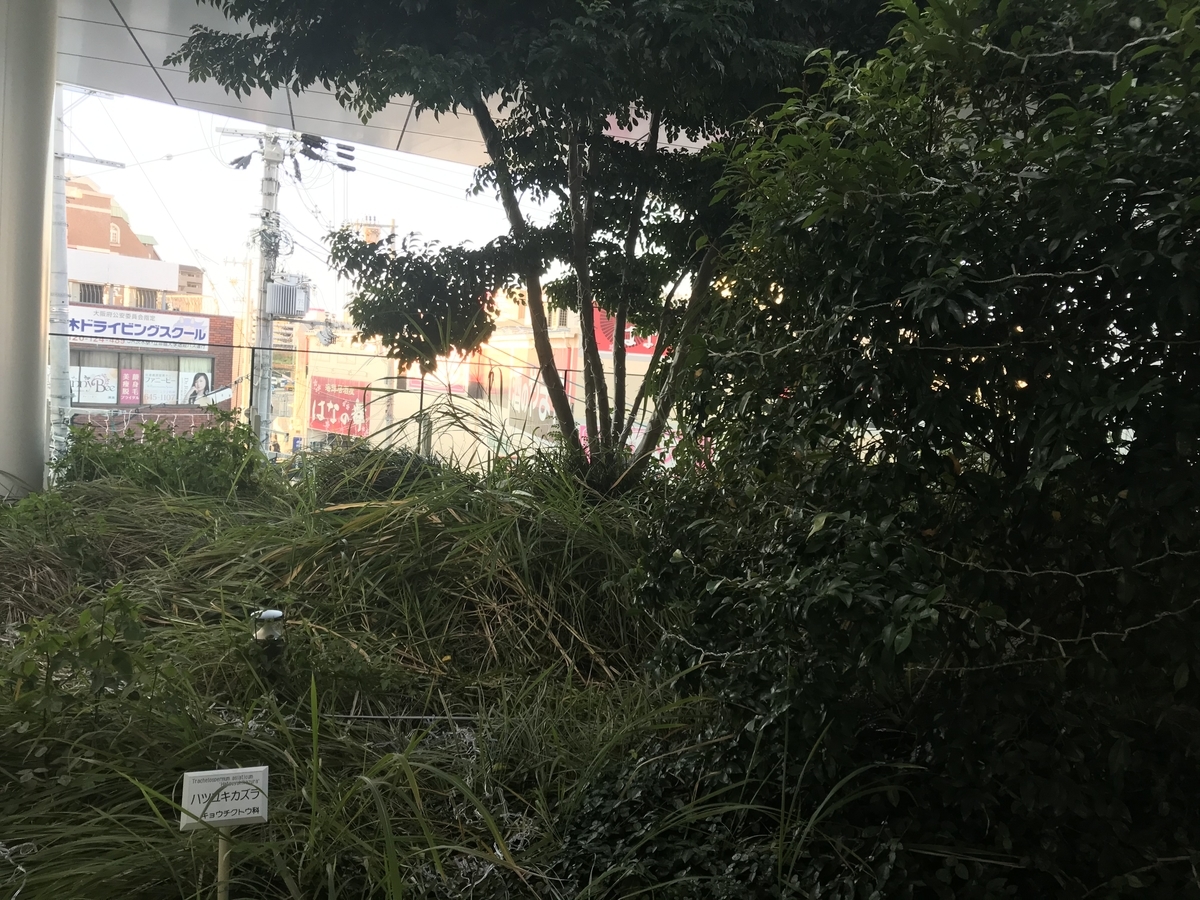 f:id:kaian7315:20191204083209j:plain f:id:kaian7315:20191204083209j:plain