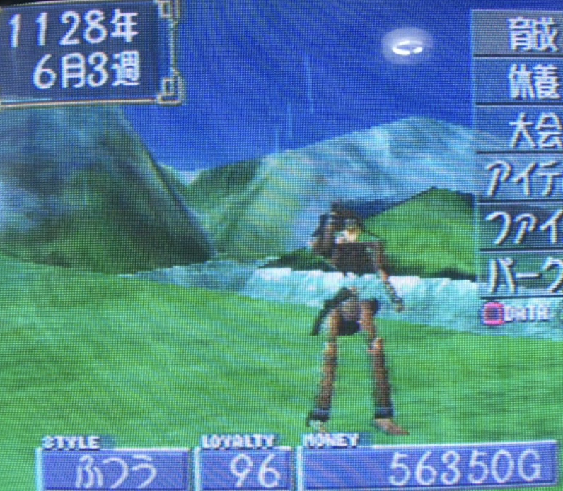 正規逆輸入品 モンスターファーム２ 自作cd基本種16枚 特別種22枚 38枚コンプリート その他