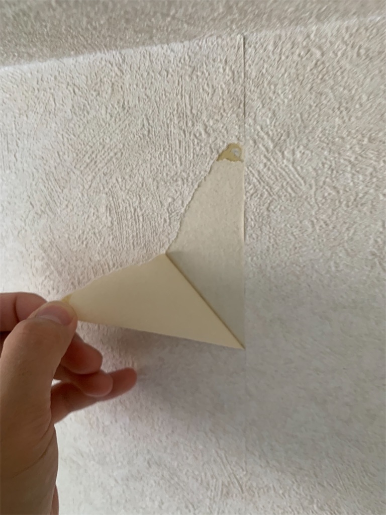 f:id:kaiboblog:20210622225544j:image f:id:kaiboblog:20210622225544j:image