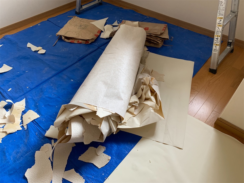 f:id:kaiboblog:20210622225555j:image f:id:kaiboblog:20210622225555j:image