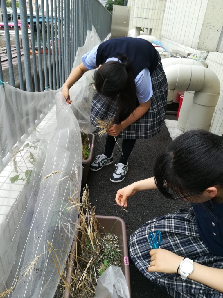 f:id:kaichinihonbashi:20180713181304j:plain f:id:kaichinihonbashi:20180713181304j:plain