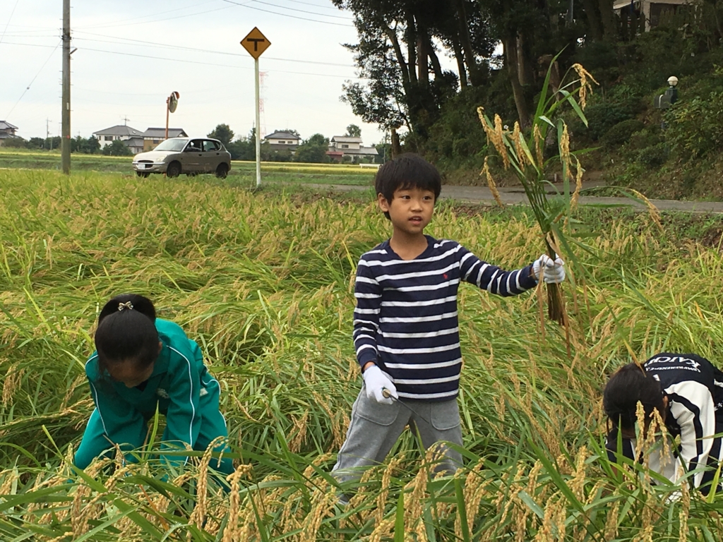 f:id:kaichinozomi:20160917181828j:plain f:id:kaichinozomi:20160917181828j:plain