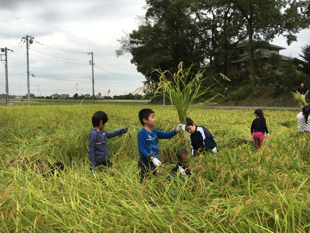 f:id:kaichinozomi:20160917182113j:plain f:id:kaichinozomi:20160917182113j:plain