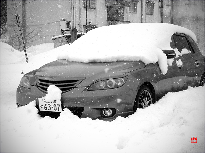 イメージ 9