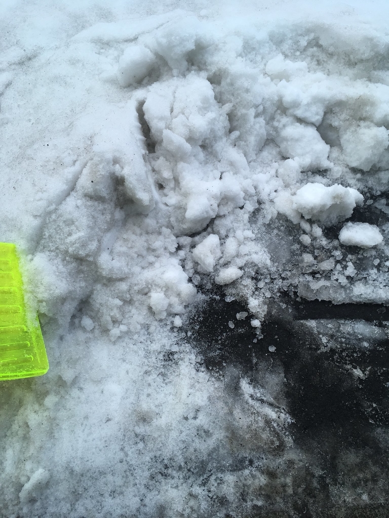 f:id:kaidou0912:20190305000619j:plain f:id:kaidou0912:20190305000619j:plain