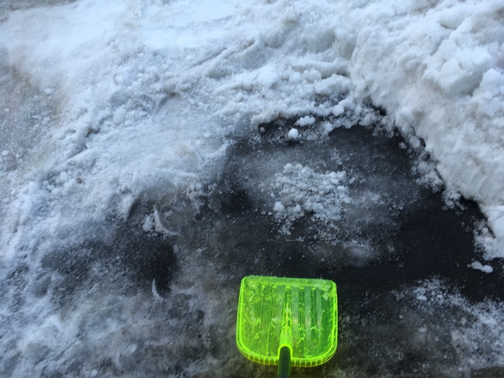 f:id:kaidou0912:20190305000629j:plain f:id:kaidou0912:20190305000629j:plain